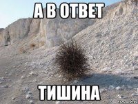 а в ответ тишина