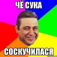 чё сука соскучилася