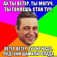 ах ты ветер, ты могуч. ты гоняешь стаи туч. ветер ветер, туч не надо. подгони шамилю влада