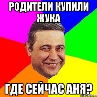 родители купили жука где сейчас аня?