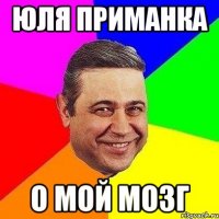 юля приманка о мой мозг