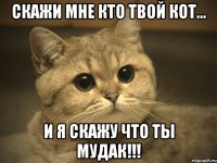 скажи мне кто твой кот... и я скажу что ты мудак!!!