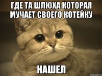 где та шлюха которая мучает своего котейку нашел