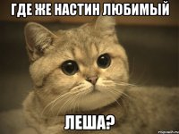 где же настин любимый леша?