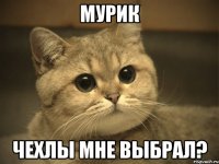 мурик чехлы мне выбрал?