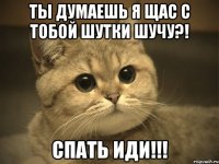 ты думаешь я щас с тобой шутки шучу?! спать иди!!!