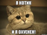 я котик и я охуенен!