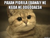 paxan pidrila ebanaiy ne kgda ne odgodaesh 