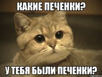 какие печенки? у тебя были печенки?