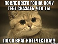 после всего говна, хочу тебе сказать, что ты лох и враг котечества!!!