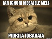 iar ignori mesajele mele pidrila iobanaia