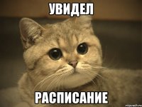 увидел расписание