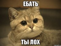 ебать ты лох