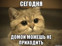 сегодня домой можешь не приходить