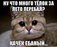 ну что много тёлок за лето перебал? качёк ебаный...