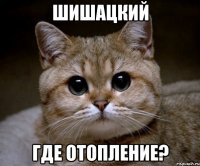 шишацкий где отопление?