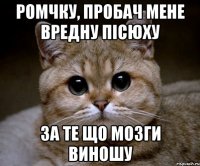 ромчку, пробач мене вредну пісюху за те що мозги виношу