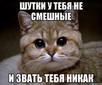 шутки у тебя не смешные и звать тебя никак