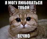 я могу любоваться тобой вечно