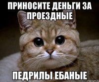 приносите деньги за проездные педрилы ебаные