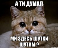 а ти думал ми здесь шутки шутим ?