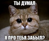 ты думал я про тебя забыл?