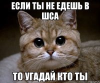 если ты не едешь в шса то угадай кто ты