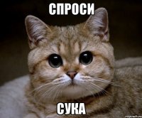 спроси сука