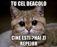 tu cel deacolo cine esti ?hai zi repejor