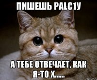 пишешь palc1у а тебе отвечает, как я-то х......