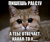 пишешь palc1у а тебе отвечает, какая-то х......