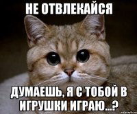 не отвлекайся думаешь, я с тобой в игрушки играю...?