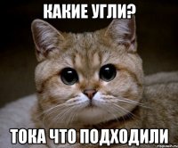 какие угли? тока что подходили