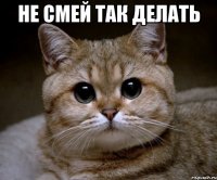 не смей так делать 