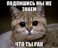 подпишись мы же знаем что ты рак