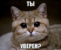 ты уверен?