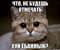 что, не будешь отмечать хуй ёбанный?