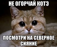 не огорчай котэ посмотри на северное сияние