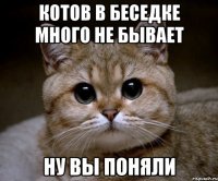 котов в беседке много не бывает ну вы поняли