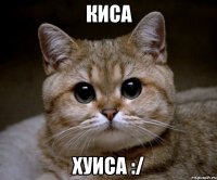 киса хуиса :/