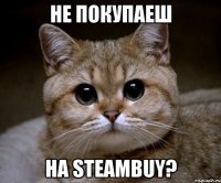 не покупаеш на steambuy?