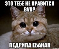 это тебе не нравится bvb? педрила ебаная