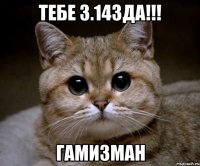 тебе 3.14зда!!! гамизман