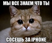 мы все знаем что ты сосешь за iphone