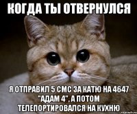 когда ты отвернулся я отправил 5 смс за катю на 4647 "адам 4", а потом телепортировался на кухню