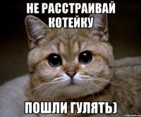 не расстраивай котейку пошли гулять)