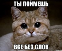 ты поймешь все без слов