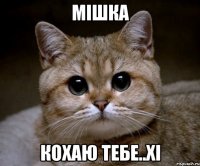 мішка кохаю тебе..хі