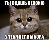 ты сдашь сессию у тебя нет выбора