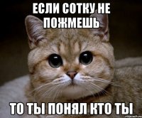 если сотку не пожмешь то ты понял кто ты